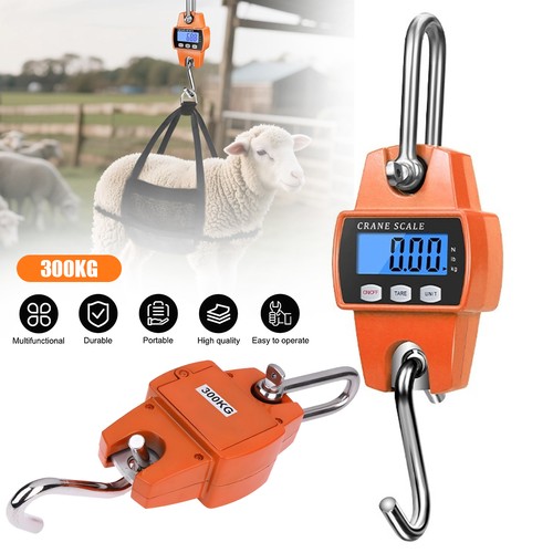 Crane scale digital - scale,