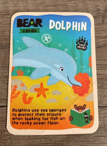 Bear yoyo card dolphin - -,