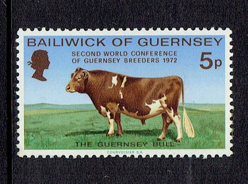 Guernsey second world - guernsey,