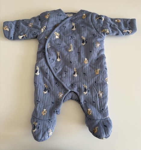 Pramsuit peter rabbit - up,