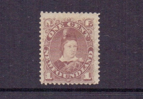 Newfoundland 1880 dull - newfoundland, 1c