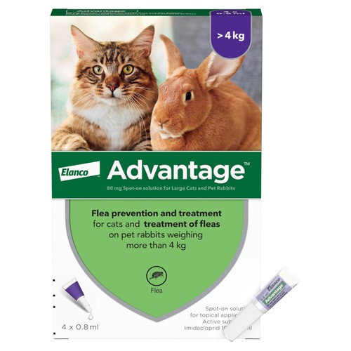 Flea treatment for large - flea,