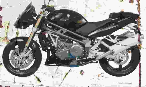 1000sf 2005 aged - mz,
