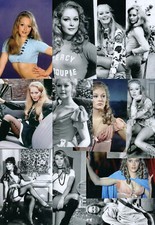 Jenny Hanley 12 Sexy Pin-Up 6x4 Glamour Film TV Photographs Set Stockings Magpie