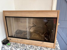 Bearded dragon vivarium setup