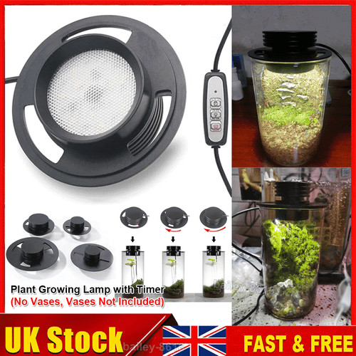 Dimmable usb terrarium plant - dimmable,
