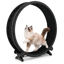 Quiet Large Cat Exercise Wheel