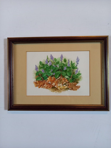 Framed watercolour wild - framed,