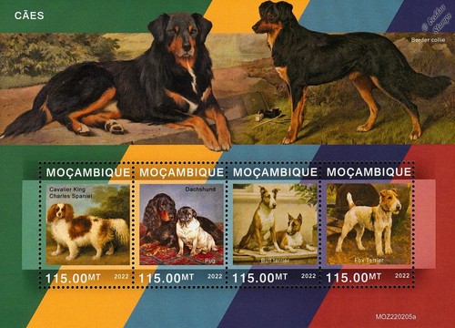 DOGS
