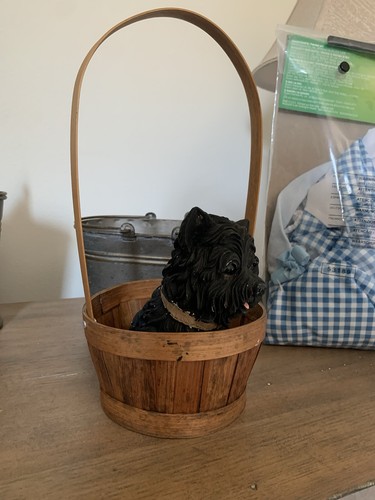 Toto basket perfect - in, basket,