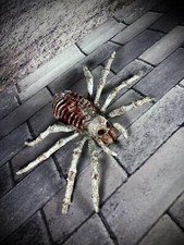 Creepy Horror Doll Skeleton