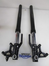 TRIUMPH STREET TRIPLE 765 R