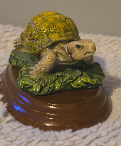 Vintage tortoise turtle - vintage,