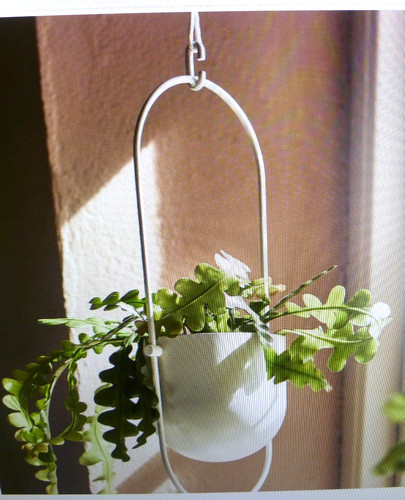 Ikea chilistran hanging - ikea,