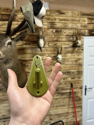 Roe buck skull - skull, mount