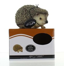 Vivid Arts Pet Pal Pygmy Hedgehog Indoor/Outdoor Use Garden Ornament