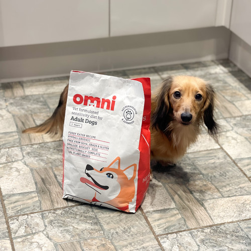 Omni sensitive dog - omni,
