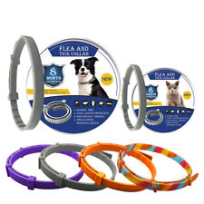 8 Month Protection Flea & Tick Collar Anti-mosquito Pet Supplies  Teddy