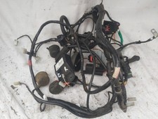 gilera runner 125 ST full loom
