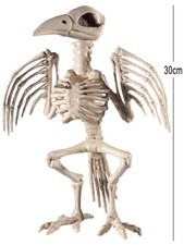 Zombie Raven Skeleton Prop