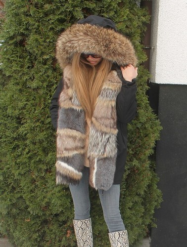 100 real ranch arctic - fox, fur