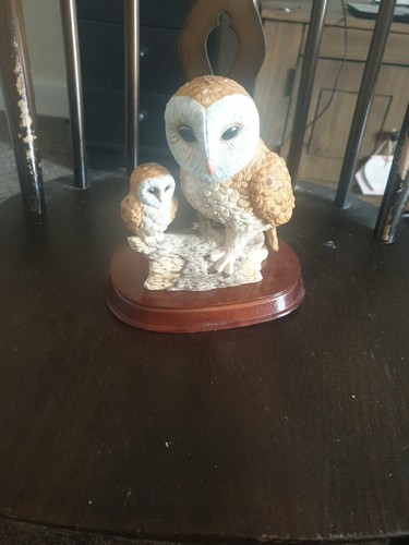 Barn owl with - owl, leonardo