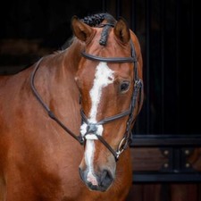 Shires Velociti RAPIDA Grackle