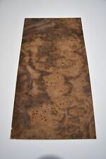 Walnut Burr / Burl  - REAL