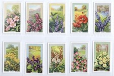 Wild Flowers Cigarette Cards