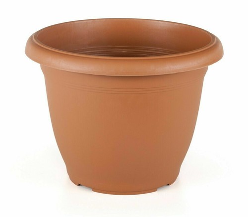 Plastic round plant - plastic,