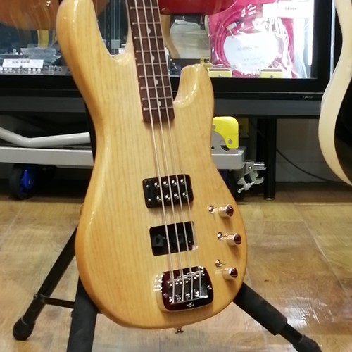Electric bass tribute - g&l,