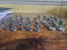 19 40k Necron Warriors
