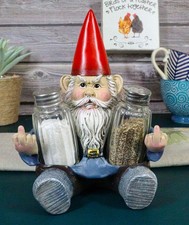 Salty Rude Mr Gnome Flipping