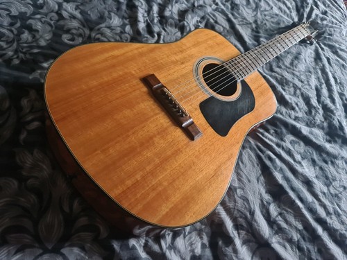 Acoustic guitar washburn - guitar, d6