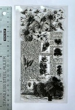 Clear rubber stamp Script Fern