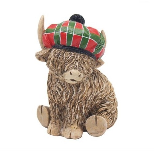 Tammy boy highland - tammy, cow