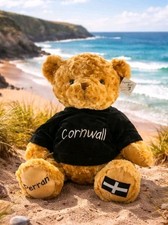 Eco Cornish Perran Bear Soft