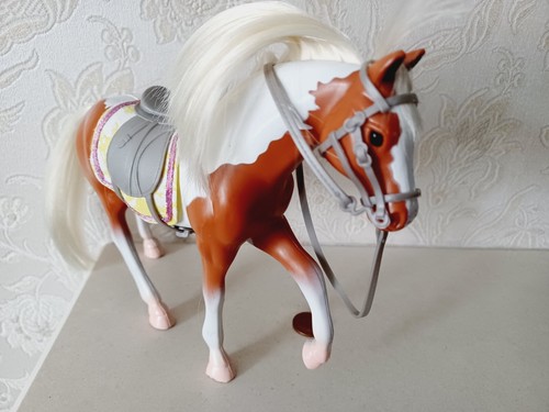 Lori american paint horse - lori,
