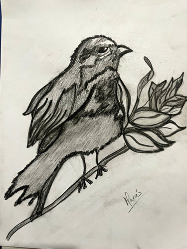 Hand drawn pencil sketch - pencil,