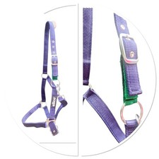 FIELD SAFE HEADCOLLAR WITH
