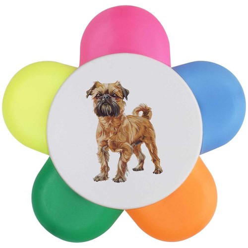 Brussels griffon standing - 'brussels,