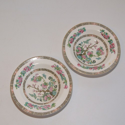 Lord nelson indian tree - 2x,