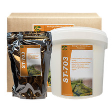 Hydra ST703 Clear Filamentous