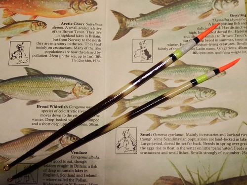 Classic porcupine quill - 2,