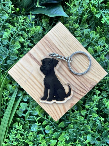 Black giant schnauzer - giant, dog
