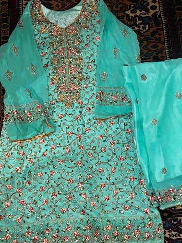 Women blue embroidered - women's,
