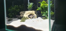 Corner Rock Hide - Aquarium