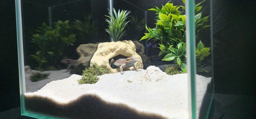 Corner rock hide aquarium - -,