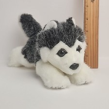 Siberian Husky Blue Eyes Dog