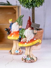 Charming Mushroom Gnome